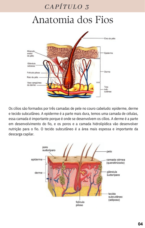 Apostila-Iniciantes-Completa-By-Nathalia-Emilia-7.png